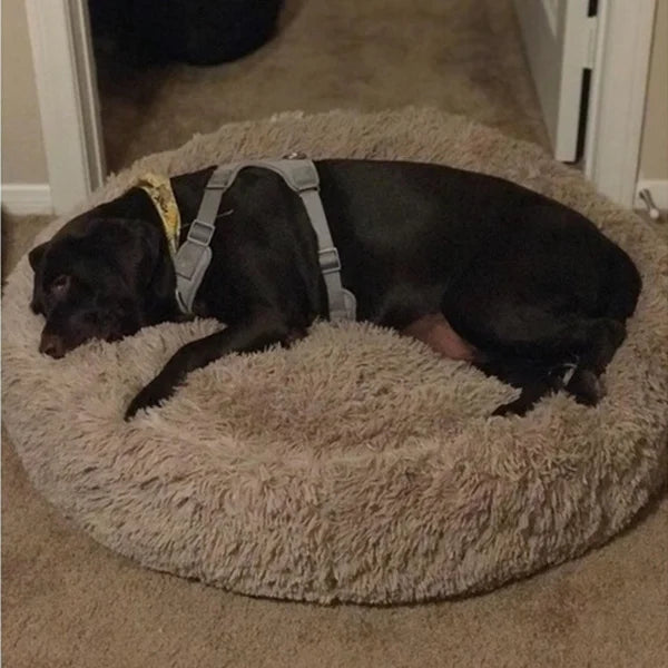 Cozy Donut Dog Bed — Calming Plush Mat