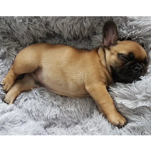 Cozy Donut Dog Bed — Calming Plush Mat