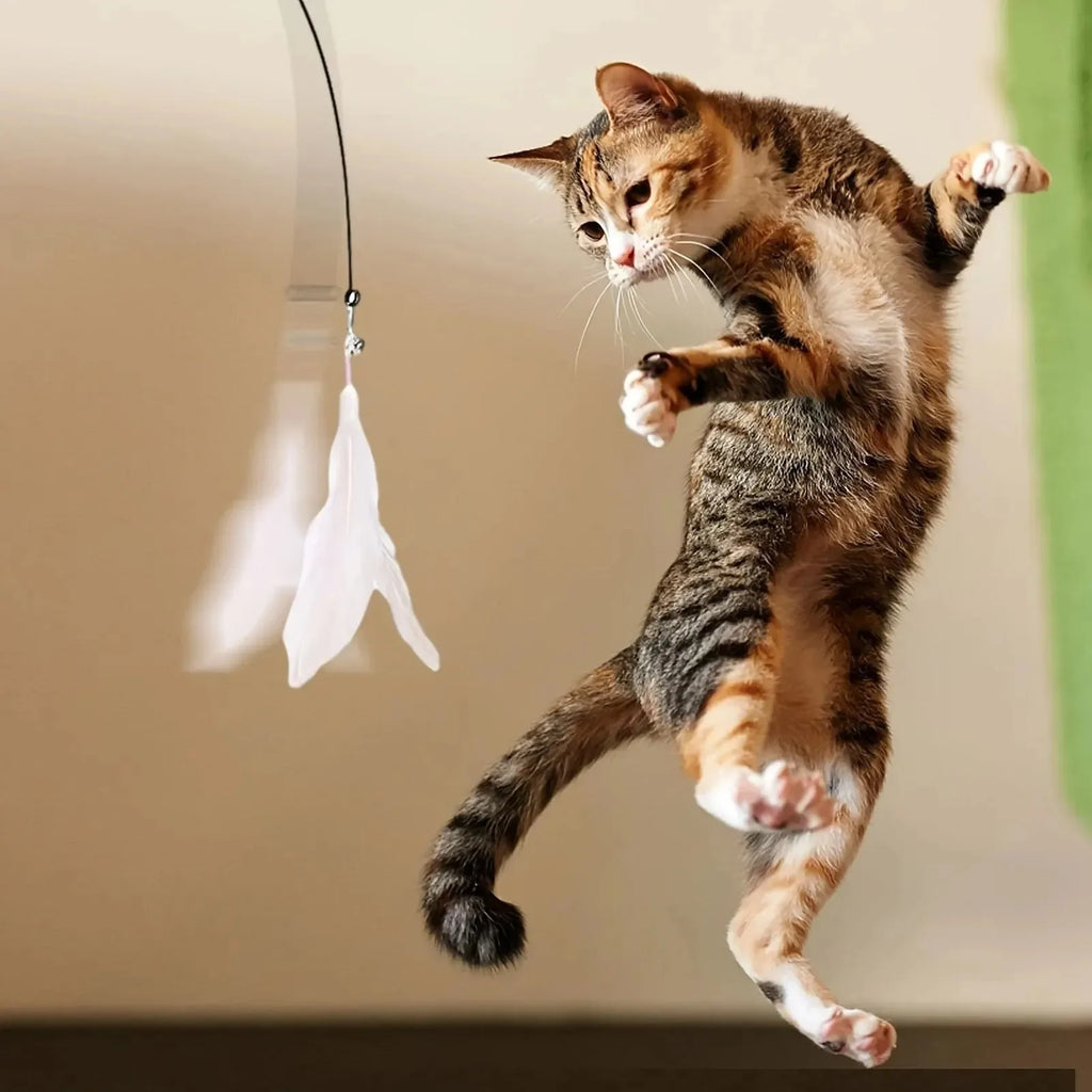 Interactive Cat Feather Teaser Wand — Retractable with Bell